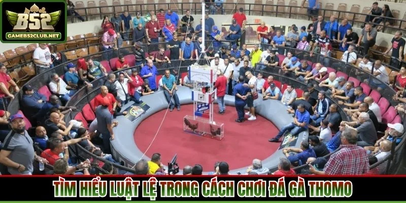 Tìm hiểu luật lệ trong cách chơi đá gà thomo