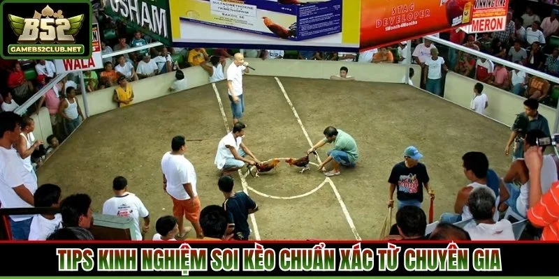 Tips kinh nghiệm soi kèo chuẩn xác từ chuyên gia