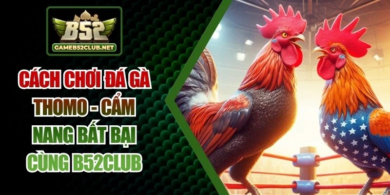 cách chơi đá gà thomo