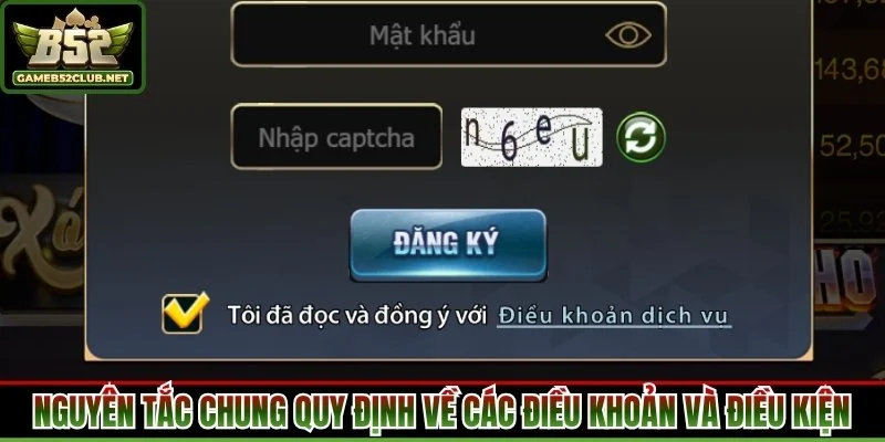 Nguyên tắc chung quy định cụ thể về các điều khoản và điều kiện